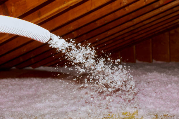 Best Insulation Repair Services  in Tillson, NY