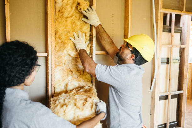 Best Garage Insulation Installation  in Tillson, NY