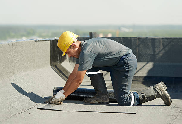 Best Insulation Replacement Services  in Tillson, NY