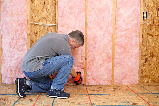 Best Local Insulation Services  in Tillson, NY